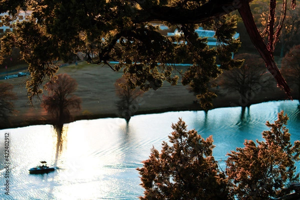 Obraz landscape with tree