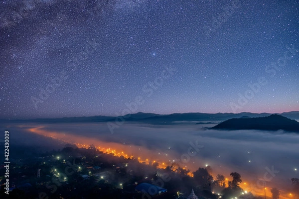 Fototapeta The garden at night with stars and the milky way in the sky is so beautiful.