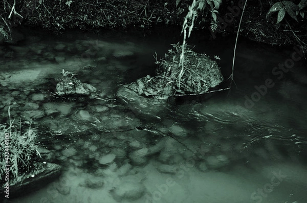 Fototapeta deep bottom