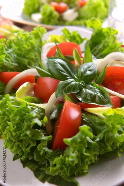 Obraz Świeża sałata