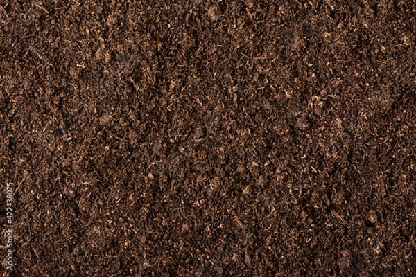 Obraz Peat moss soil texture background