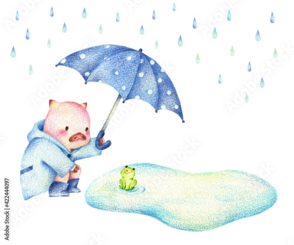 Fototapeta 雨の中カエルに傘をさすぶた　手描き色鉛筆