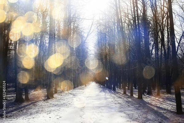 Fototapeta abstract seasonal landscape early spring in forest, sun rays and glare nature view