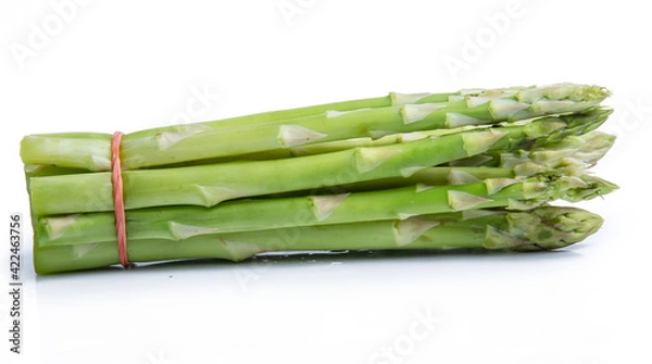 Fototapeta clipping path asparagus vegetable isolated on white background
