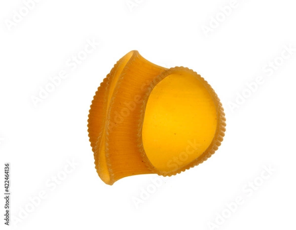 Obraz pasta isolated on white background