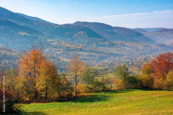 Fototapeta mountainous rural landscape in autumn. trees the edge of a hill in colorful foliage. sunny day with bright blue sky