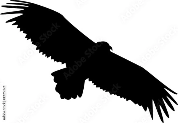 Obraz Vulture logo