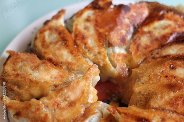Obraz 餃子
