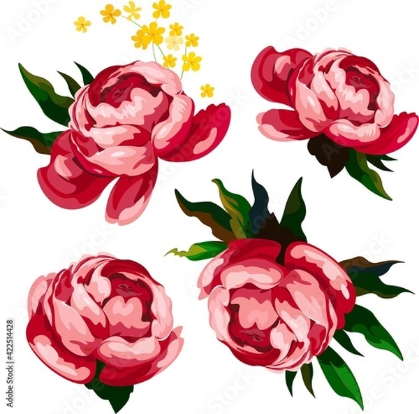 Fototapeta Vector illustration of a pattern of pink flowers.