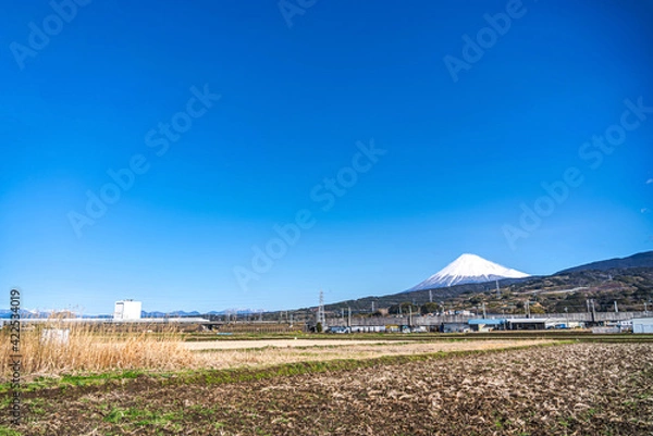 Fototapeta 静岡県から見る、冠雪した富士山