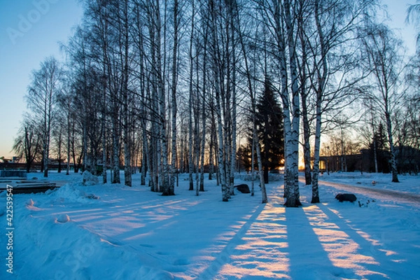 Obraz winter in the city