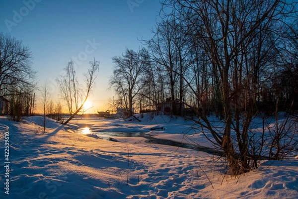 Obraz sunset in the park