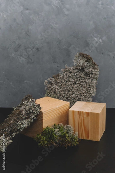 Fototapeta Natural mockup of moss,wood, tree bark and fern for cosmetics on black and grey background.