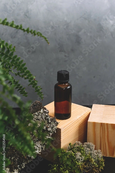 Obraz Spa cosmetics in brown glass bottles on natural background of moss,wood, tree bark and fern. Copy space for text.