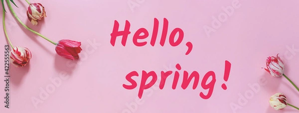 Obraz Bouquet of red and white tulips on grey background. Mother's day, Valentines Day, Birthday celebration. Banner