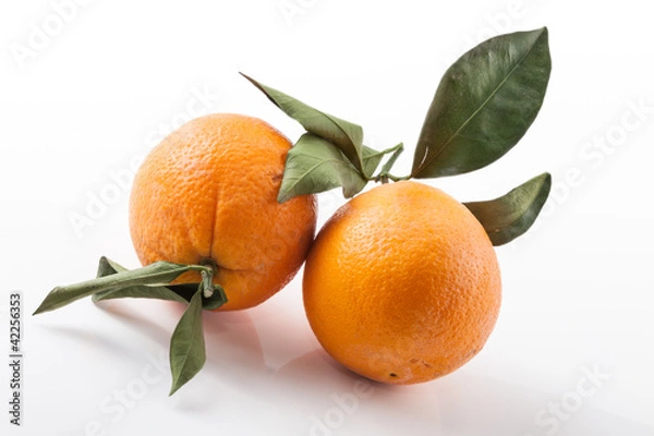 Obraz two oranges