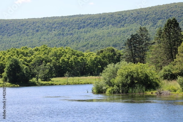 Obraz landscape with lake