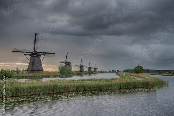 Obraz sunrise in Kinderdijk on a gray day