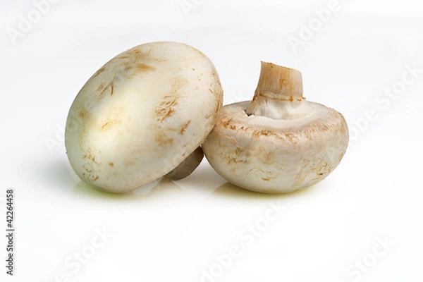 Fototapeta mushrooms