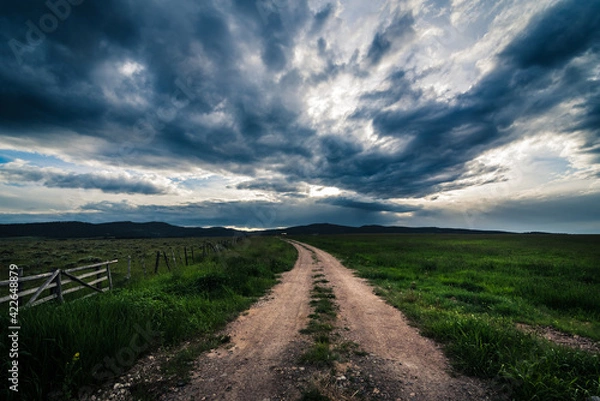Obraz Road in a grassy field.