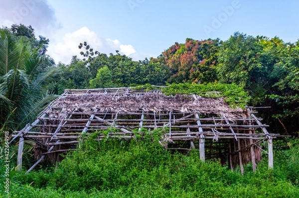 Fototapeta Old rundown straw hut in the jungle on the Road to Hana, Maui, Hawaii 