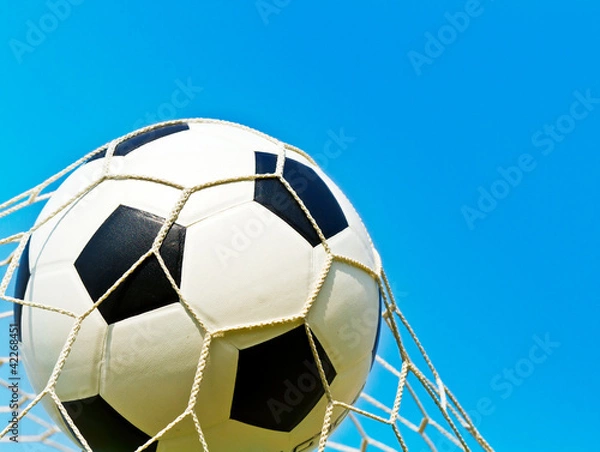 Fototapeta Soccer ball in net