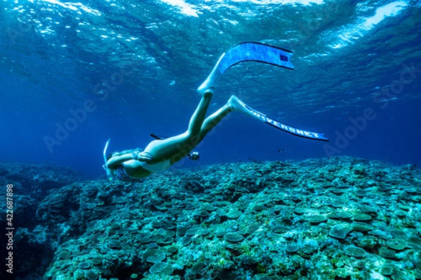 Fototapeta 石垣島のマーメイド