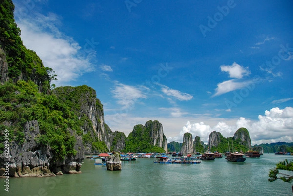 Fototapeta ベトナムの世界遺産ハロン湾