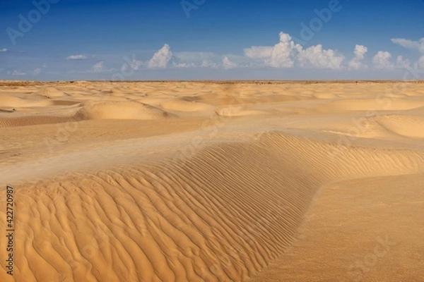Fototapeta sand dunes of the sahara desert illuminated by the daylight of the sun,