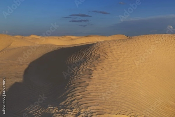 Fototapeta sand dunes of the sahara desert illuminated by the light of the setting sun