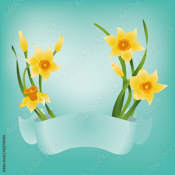 Fototapeta Spring flowers daffodils frame with banner for lettering