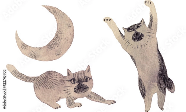 Obraz 喧嘩する猫