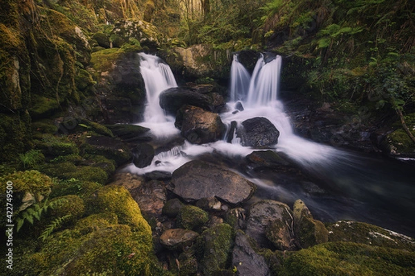 Obraz Hidden gem among the mossy rocks