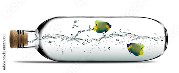 Obraz Glass bottle