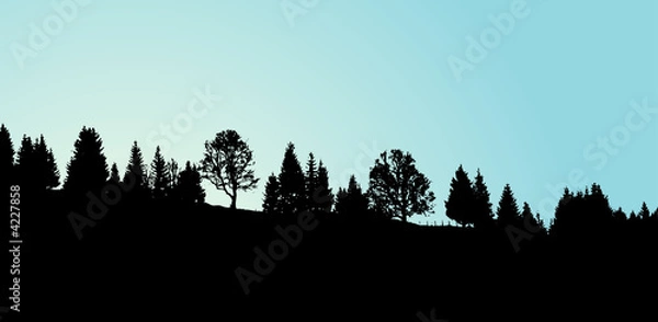 Obraz Wschód słońca nad lasem