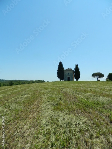 Obraz landscape with grass and blue sky