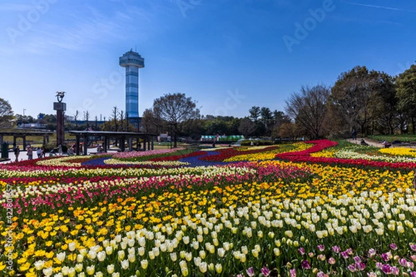 Obraz 岐阜県海津市　国営木曽三川公園　水と緑の館・展望タワーとチューリップ大花壇