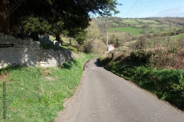 Fototapeta An empty country road going downhill in the countryside in Spring time sun