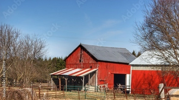 Fototapeta 1283 - Cass City's Carousel Red