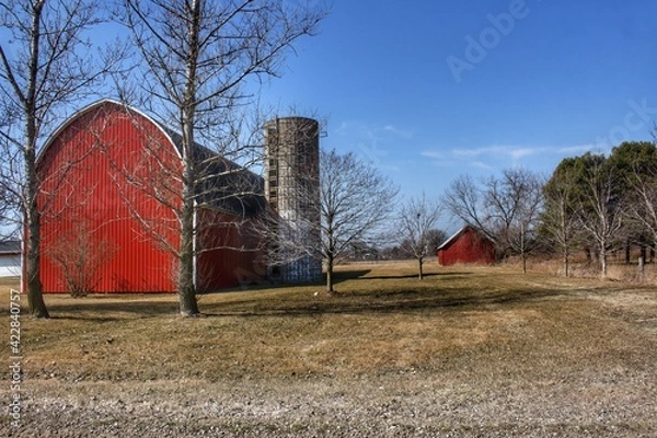 Fototapeta 1323 - Romeo Plank Reds I