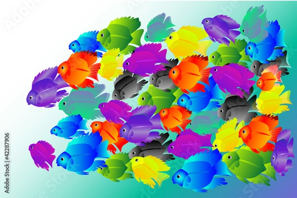 Obraz pesci colorati