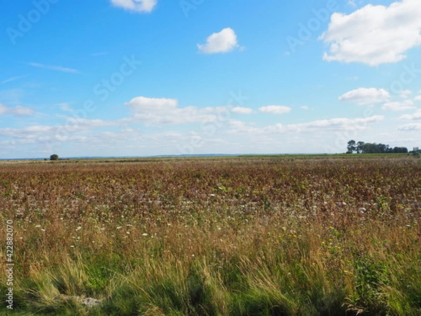 Obraz OLYMPUS DIGITAL CAMERA