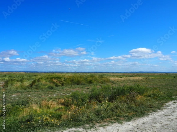 Fototapeta OLYMPUS DIGITAL CAMERA