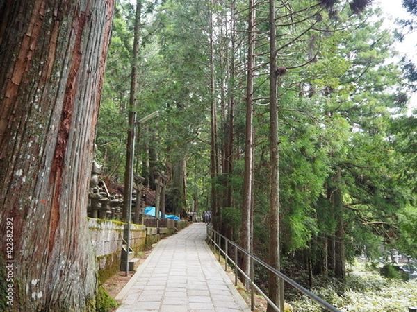 Obraz OLYMPUS DIGITAL CAMERA