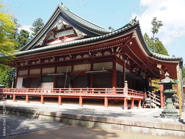 Fototapeta OLYMPUS DIGITAL CAMERA