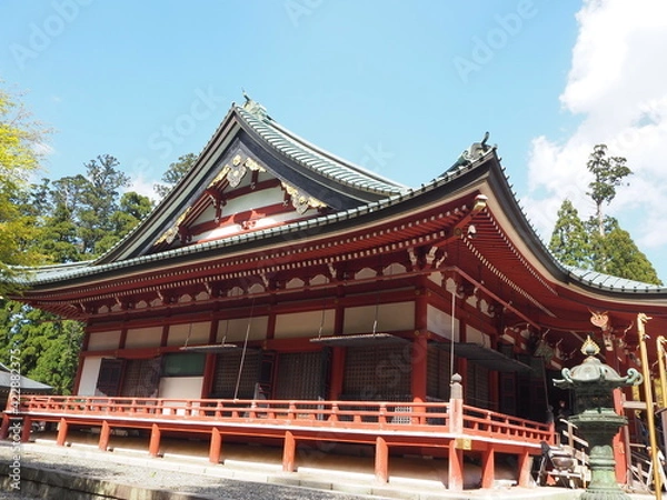 Obraz OLYMPUS DIGITAL CAMERA