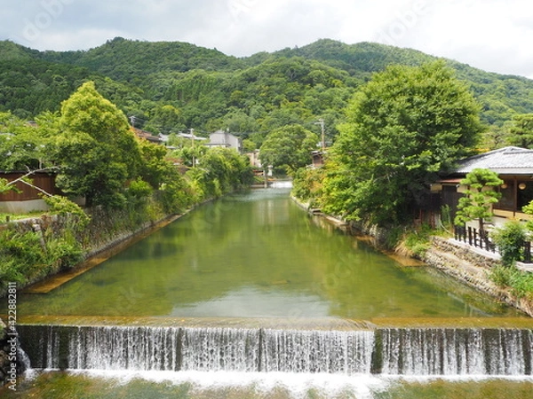 Fototapeta OLYMPUS DIGITAL CAMERA