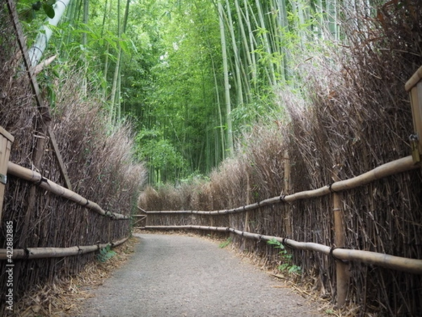 Obraz OLYMPUS DIGITAL CAMERA