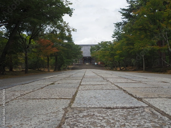 Obraz OLYMPUS DIGITAL CAMERA