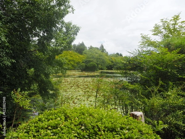 Obraz OLYMPUS DIGITAL CAMERA